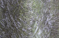 East Lound fibreglass roof work